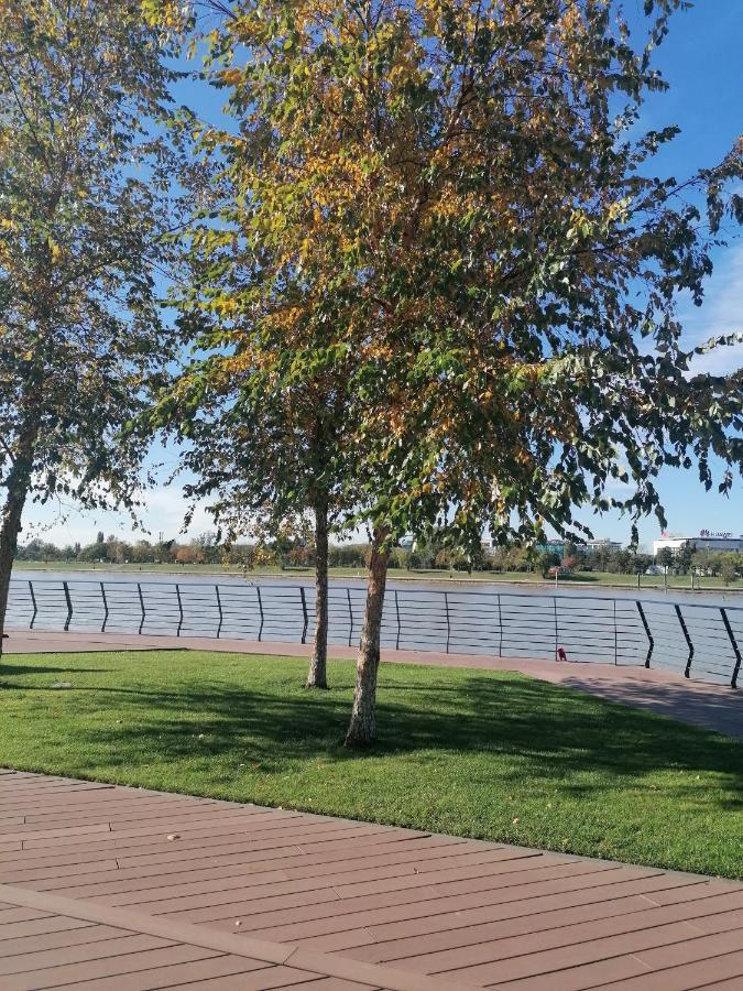 Belgrade Waterfront Cozy Symphony 1 Lejlighed Sajmiste Eksteriør billede